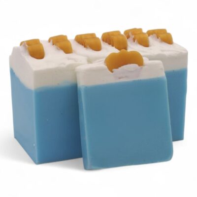 BEE SALTY SAPONE GOURMET