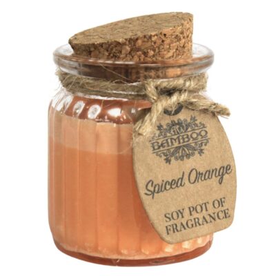 10 CANDELA IN CERA DI SOIA ARANCIA SPEZIATA