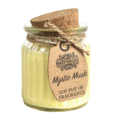 5 CANDELA IN CERA DI SOIA MUSCHIO BIANCO